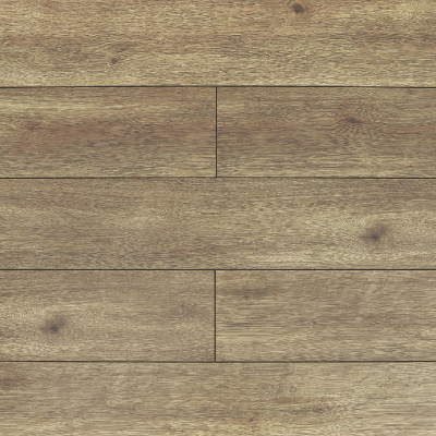 Дуб Кромер 08