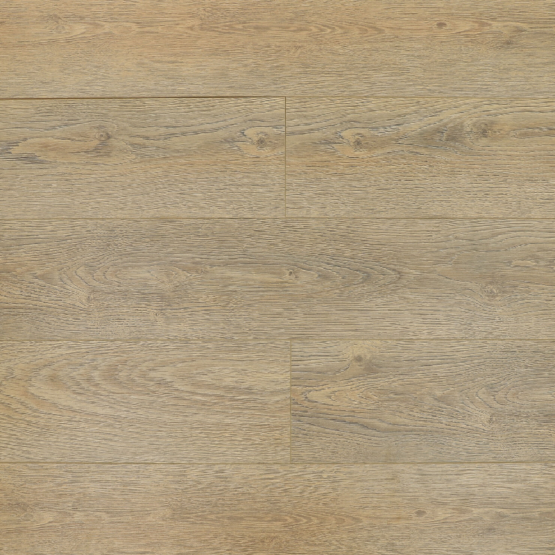  Вяз Альбрехт 09