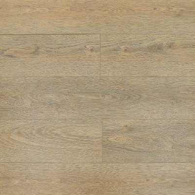  Вяз Альбрехт 09