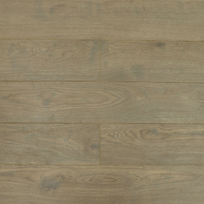  Дуб Дориан 47