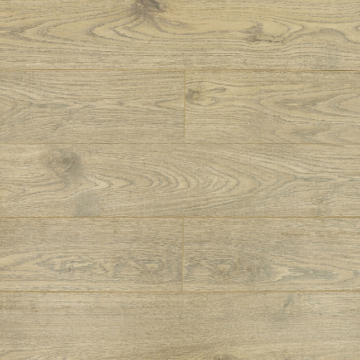 Дуб Гилберт 49