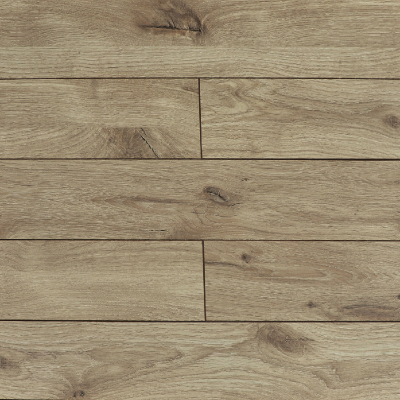 Дуб Роланд 75