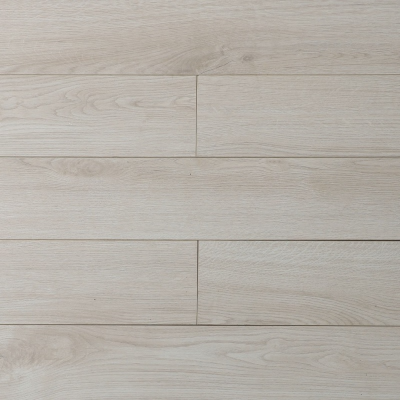 Дуб Робусто