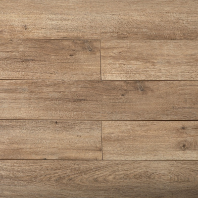 Дуб Перфекто