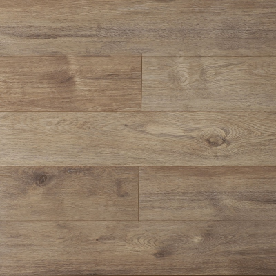 Дуб Фигуардо