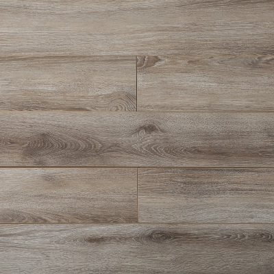 Дуб Черчиль