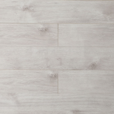 Дуб Соломон