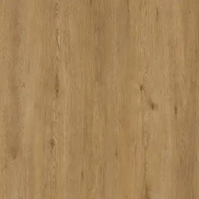 Дуб Селим