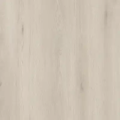 Дуб Бальвер
