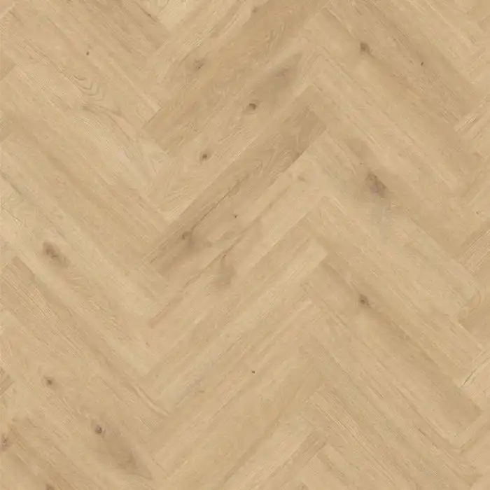 Блуа