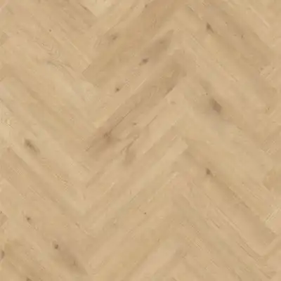 Блуа