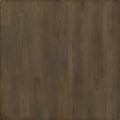 Дуб Мейджор (Major Oak 05871/400087742)