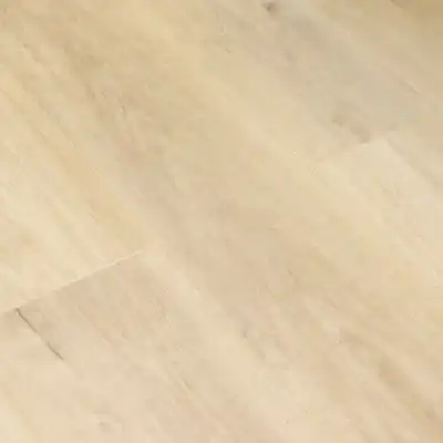 Дуб Карро