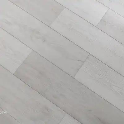 Дуб Лаурия