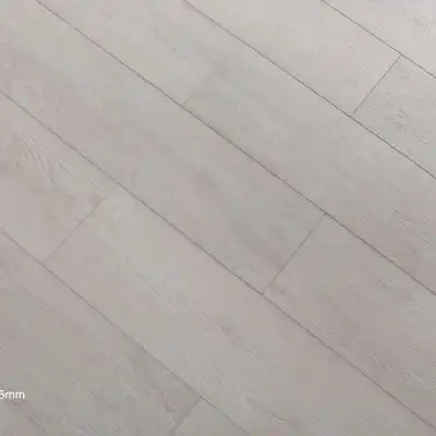 Дуб Трамин
