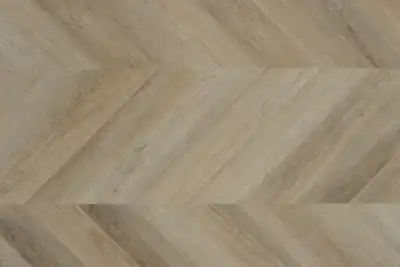 Дуб Антиб