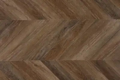 Дуб Калипсо
