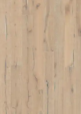 Дуб Аспеланд (Oak Aspeland)