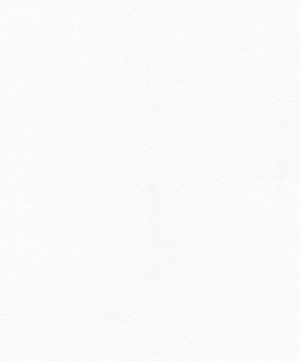 9063