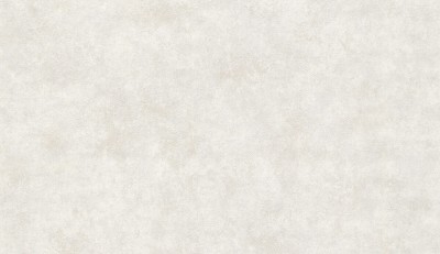 33207