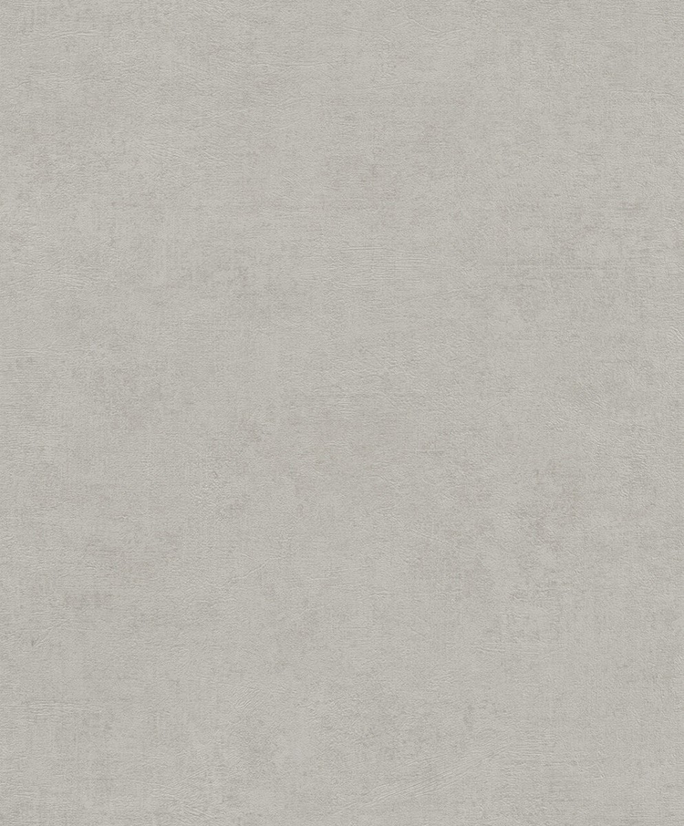 33504