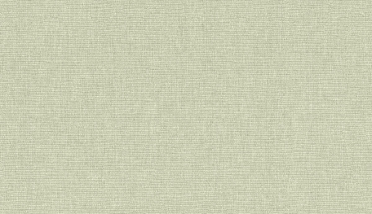 33031