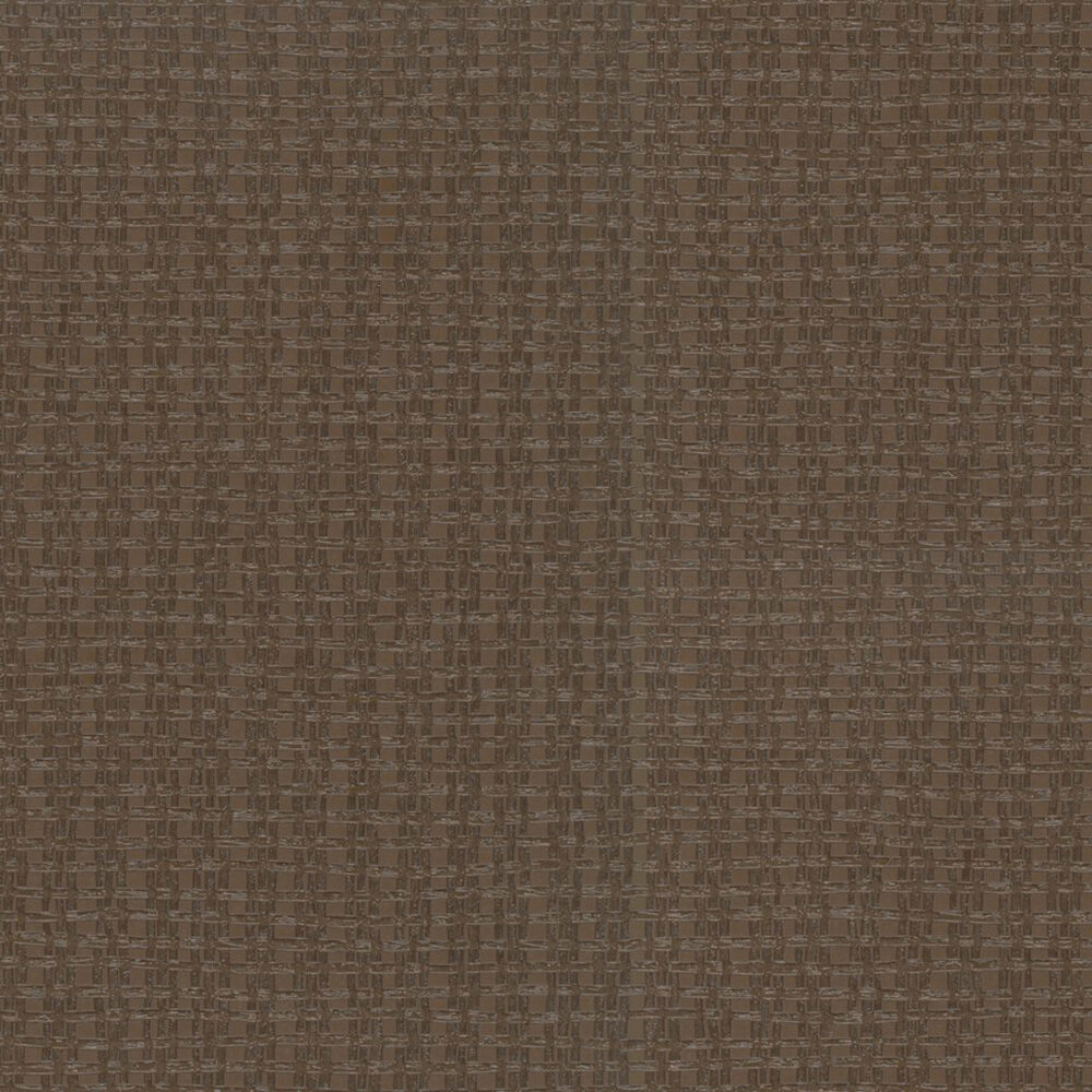 55571