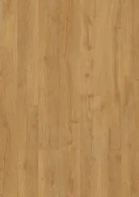 Приусадебный Дуб