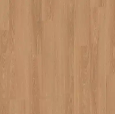 Дуб Элеганс 526668