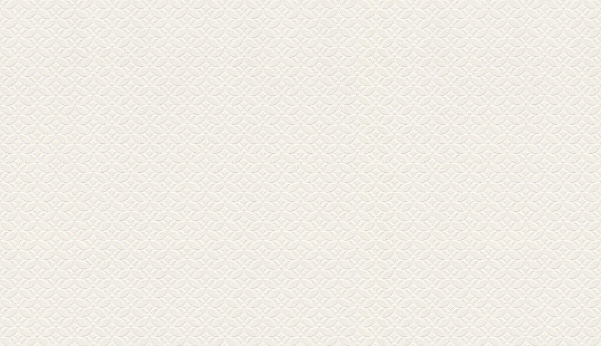 50504