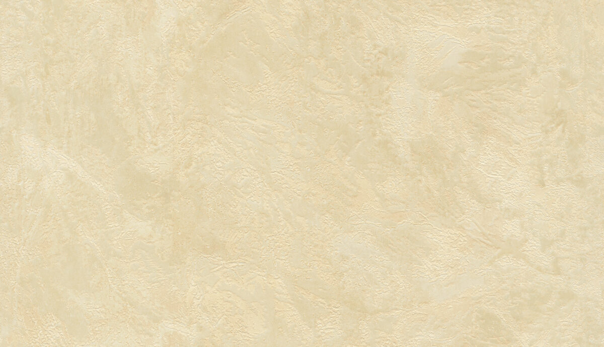 50513