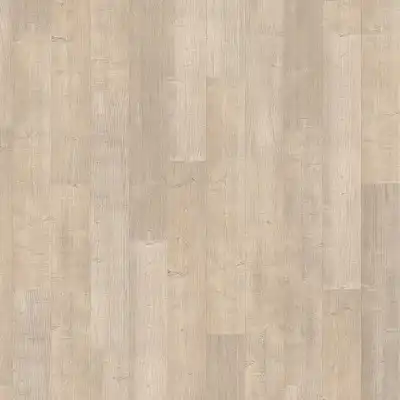 Вяз кремовый
