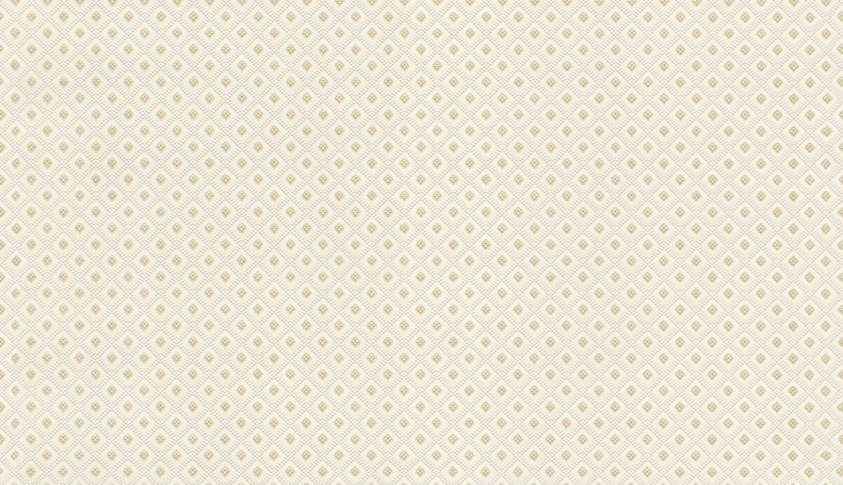 50538