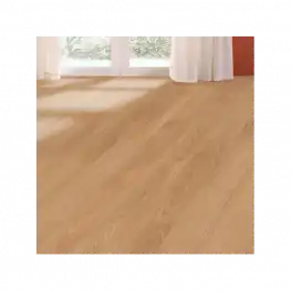 Дуб Элеганс