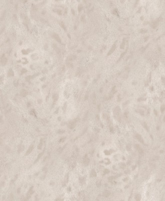 77542