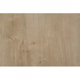 Дуб Лаунж