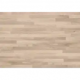 Дуб Белый