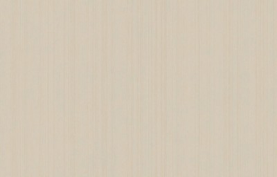 ARTS4 003