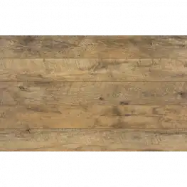 Дуб Бассета