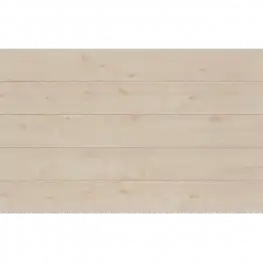 Дуб Морено