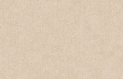 ARTS13 003