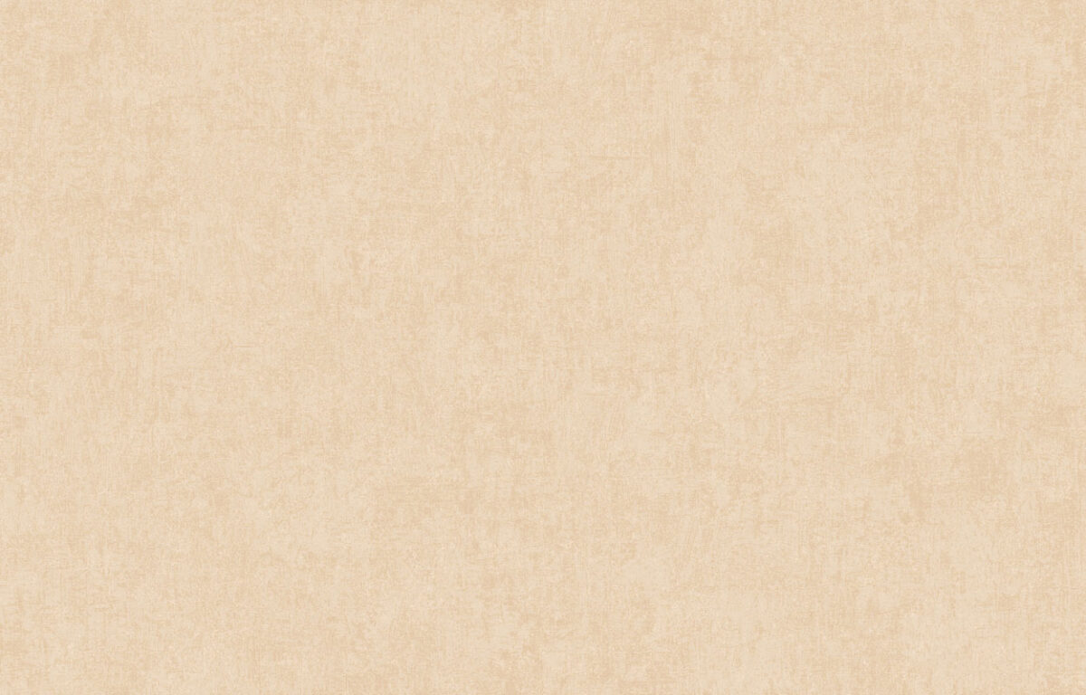 ARTS13 003/1
