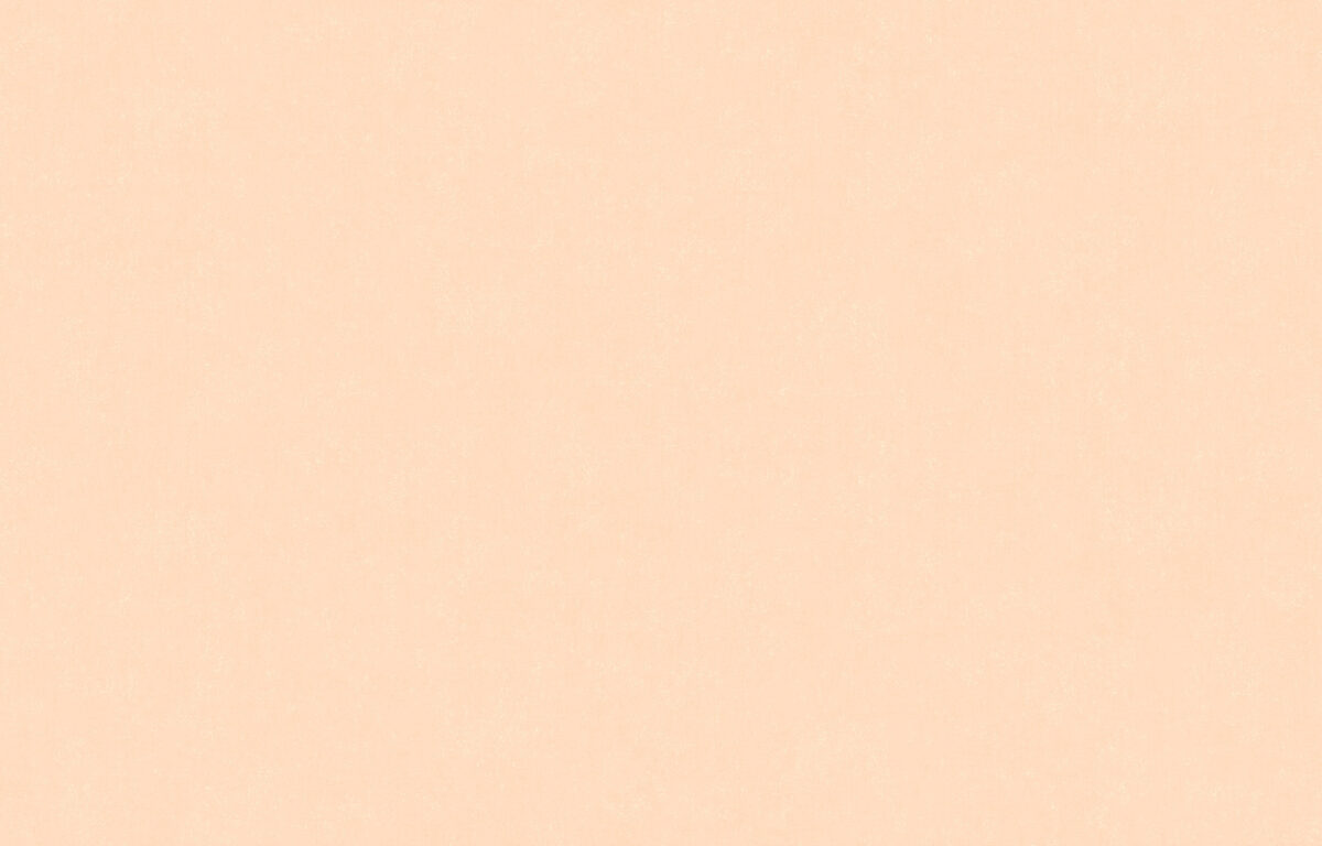 ARTS13 001/4