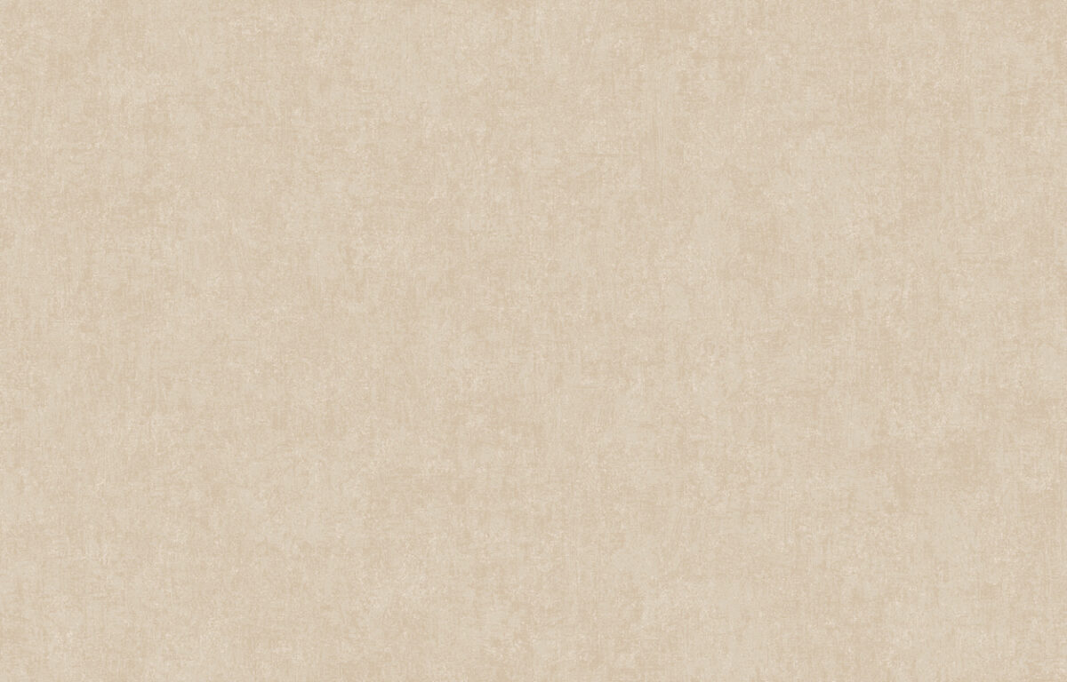ARTS13 001/6