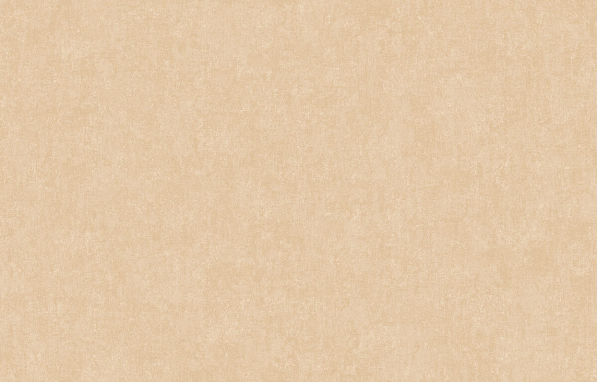 ARTS13 002/3