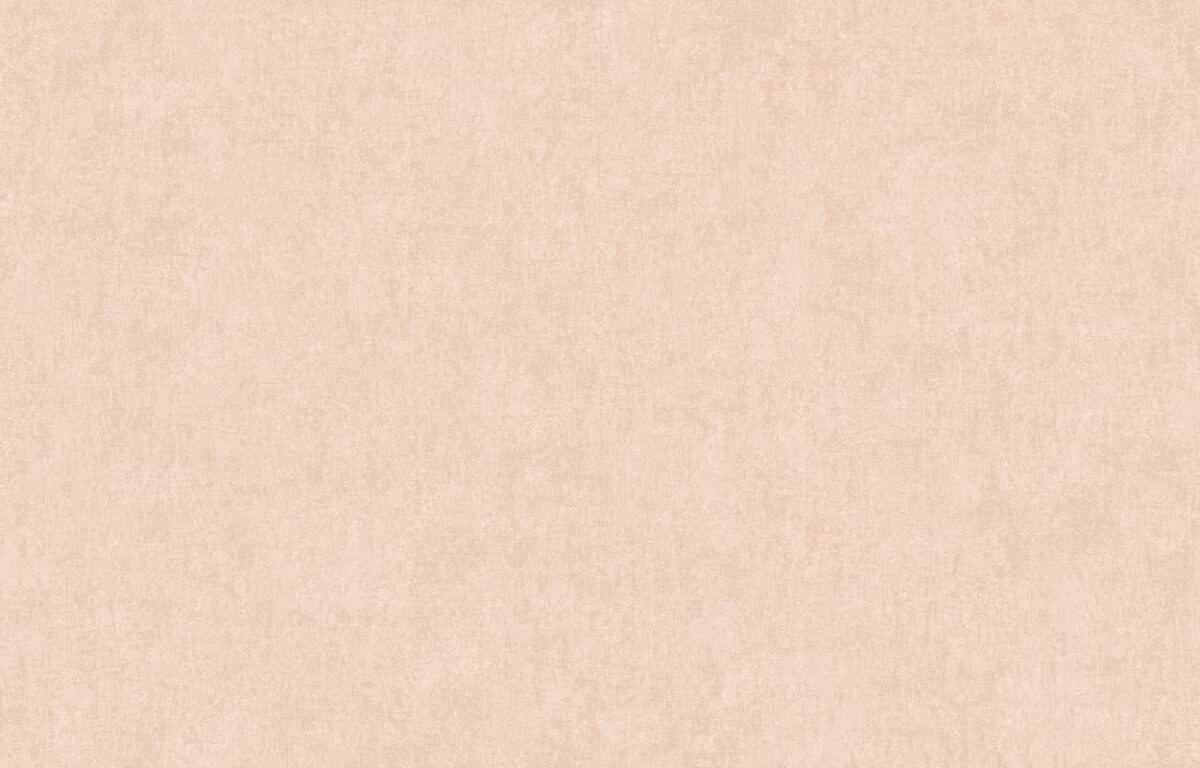 ARTS13 002/5