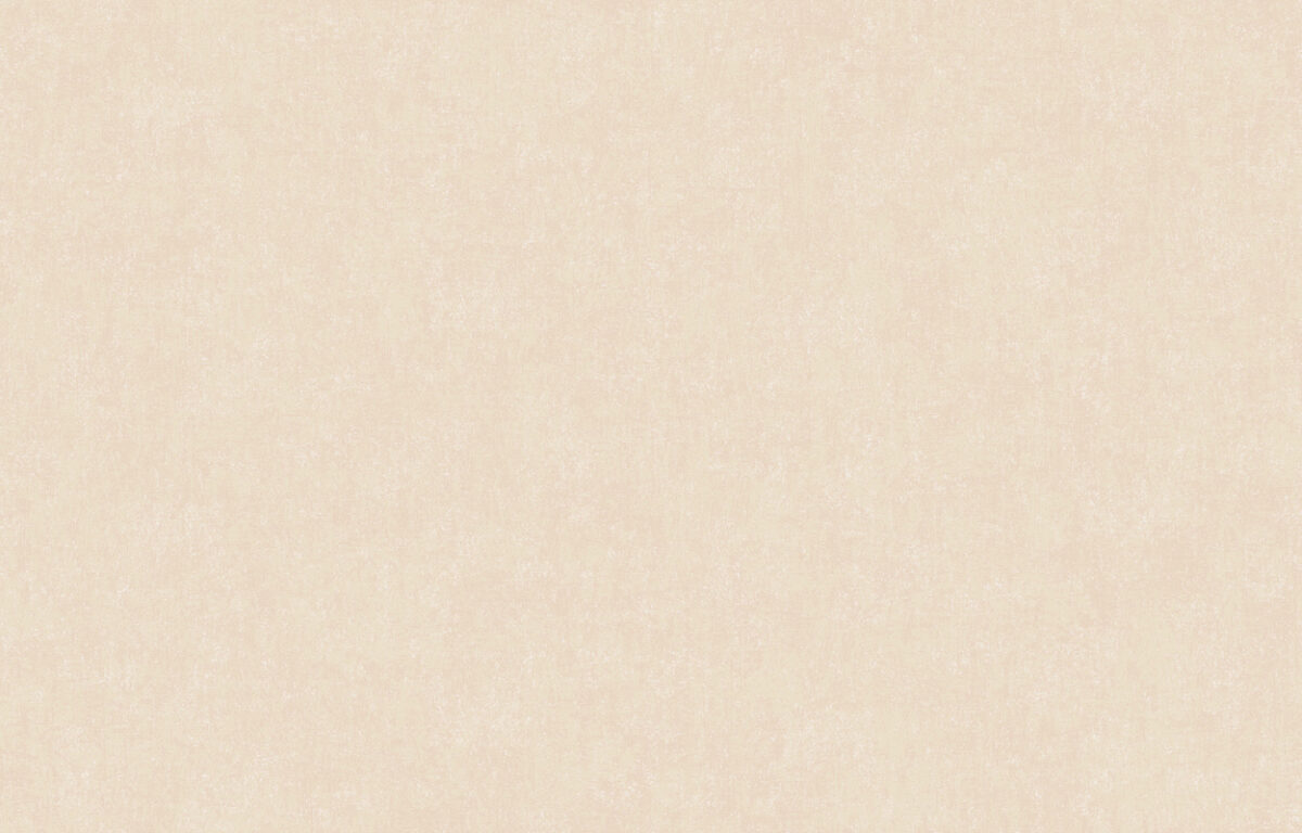 ARTS13 003/2