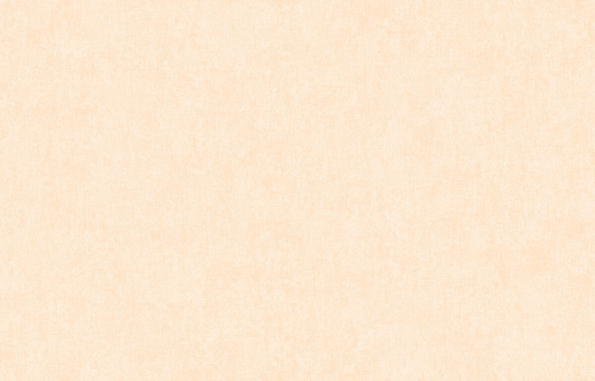 ARTS13 003/3