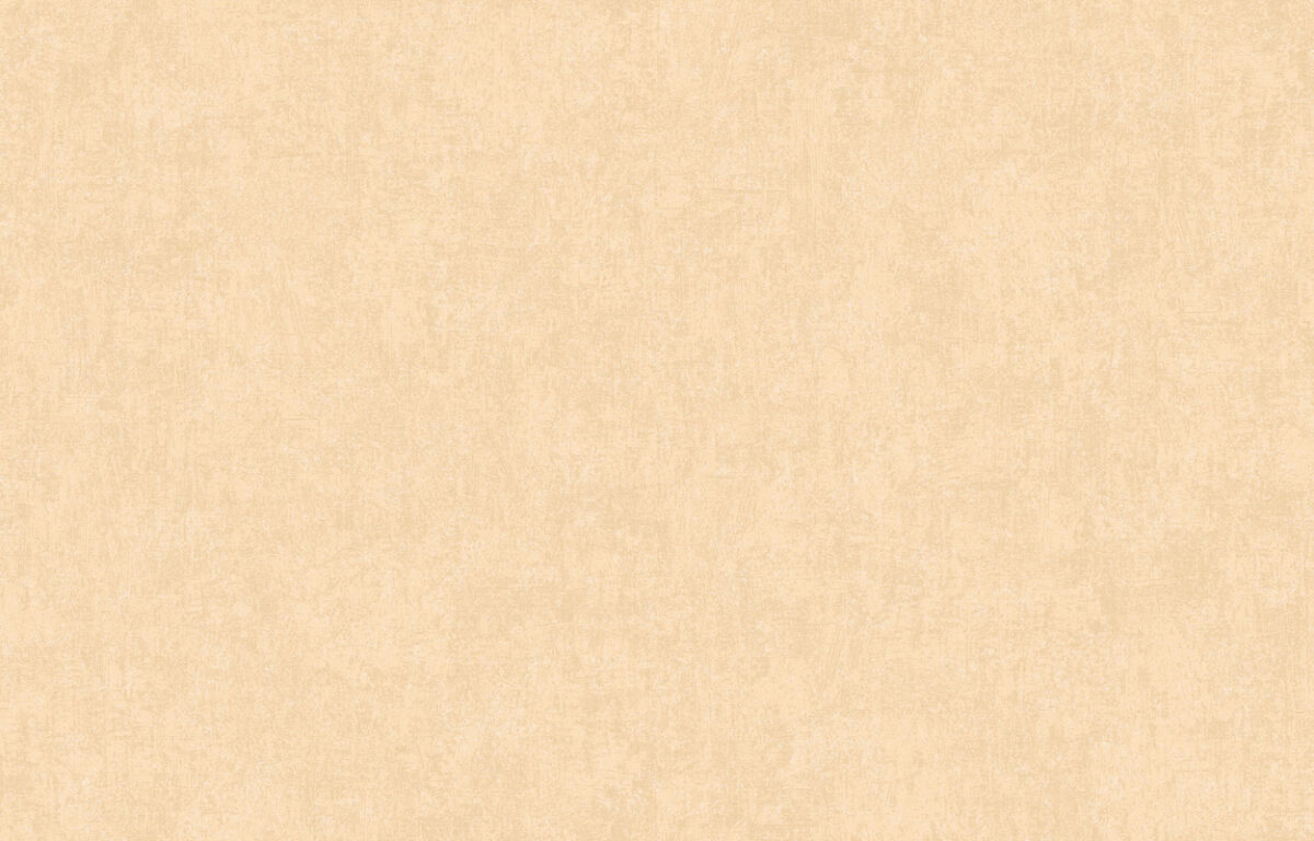 ARTS13 003/4