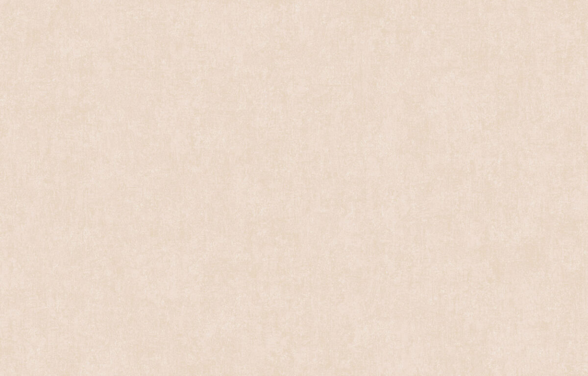 ARTS13 003/5